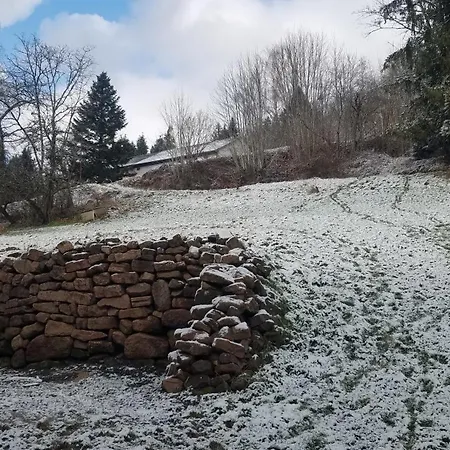 Au Refuge Du Bonheur בית נופש Provenchères-sur-Fave